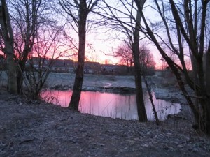 ???????????????????????????????