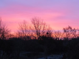 ???????????????????????????????