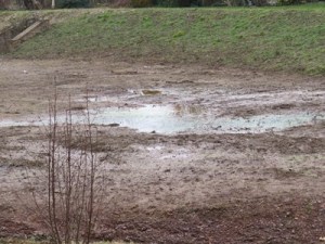 ???????????????????????????????