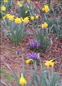 ???????????????????????????????