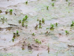 ???????????????????????????????