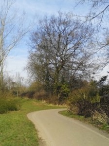 IMG_20160321_111554sm